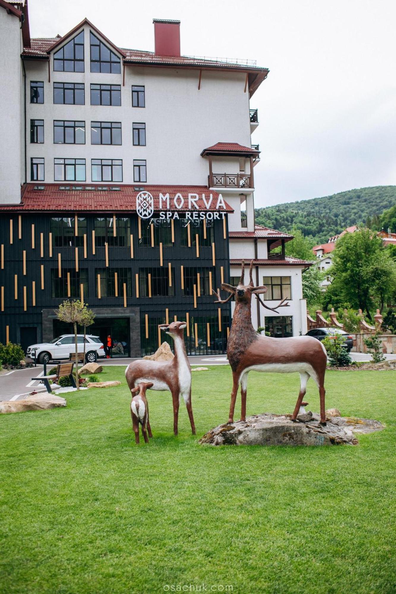 Morva Premium Spa Resort Яремча Экстерьер фото